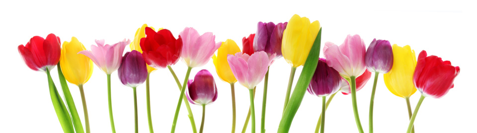 Spring Colors